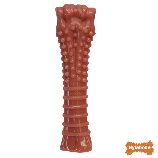 Nylabone Dura Chew - Bacon Flavor - Image 4