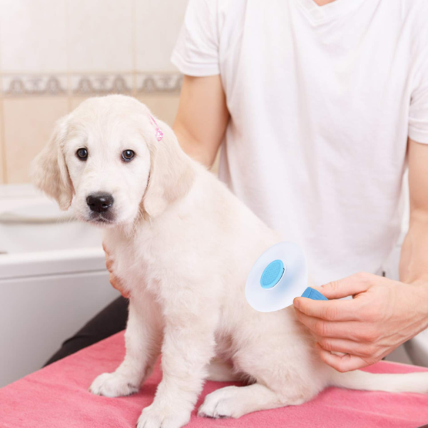 Shedding Slicker Brush for Pet Grooming