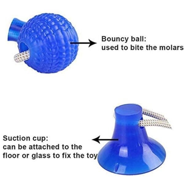 Suction Cup Dog Toy for Aggressive Chewers - Image 4