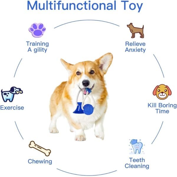 Suction Cup Dog Toy for Aggressive Chewers - Image 5