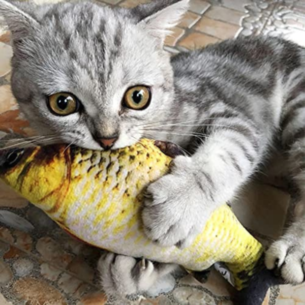 Fish Interactive Kitten Toy