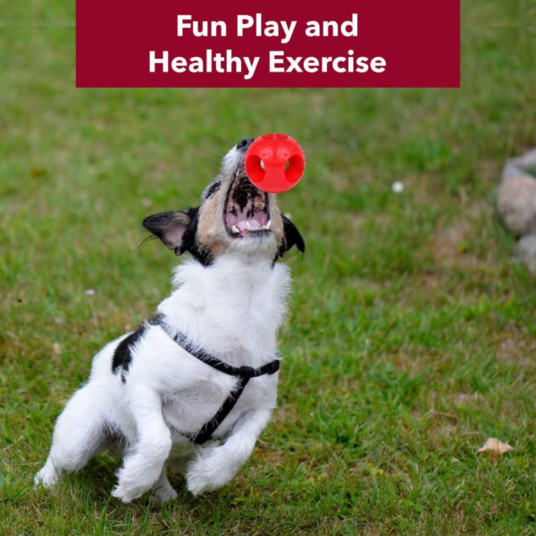 Rubber Hole Ball Chew Toy