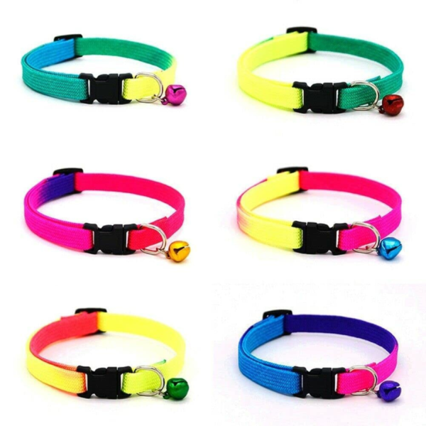 Rainbow Color Collar