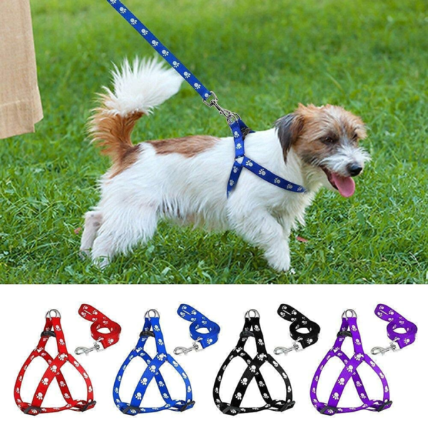 Print Puppy Collar & Leash Set