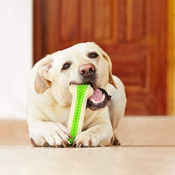 Interactive Non-Toxic Nylon Arched Bone for Dogs and Puppies - Image 7