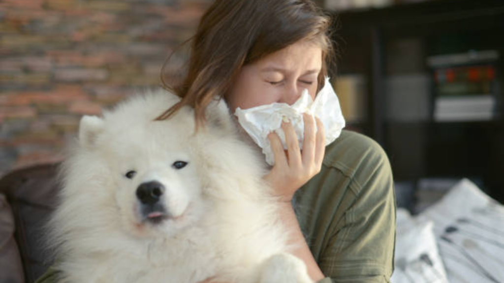 pet allergy treatment