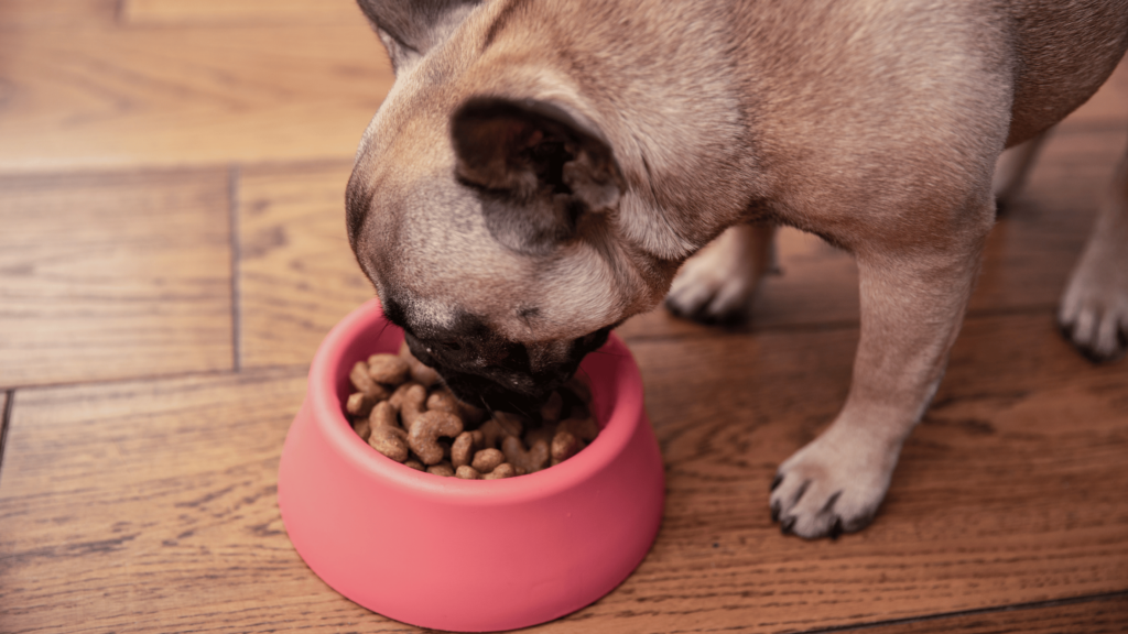 Pet Food by Breed: Tailored Nutrition for Every Size