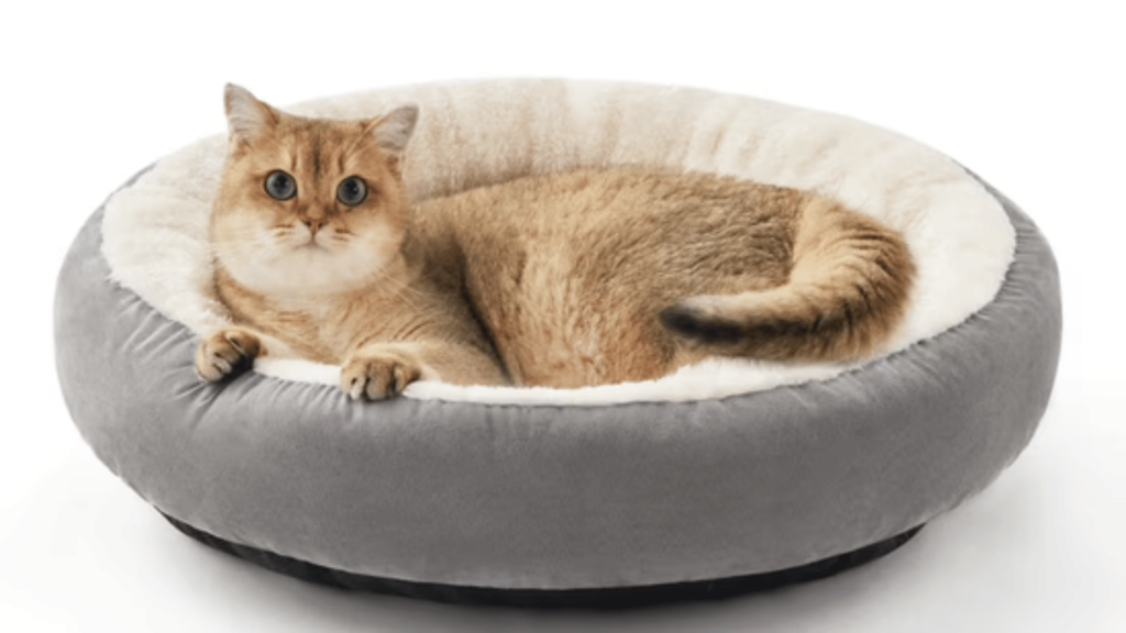 Bed for Your Persian Cat