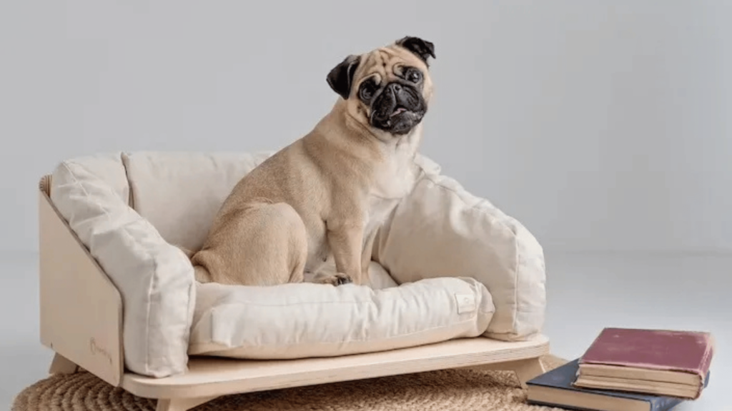 Pug dog beds