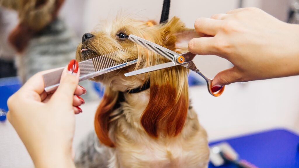 DIY Pet Grooming Tips