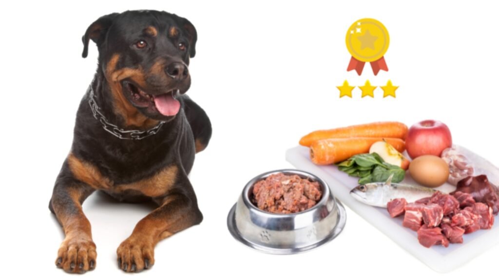 Dog Food for Rottweilers