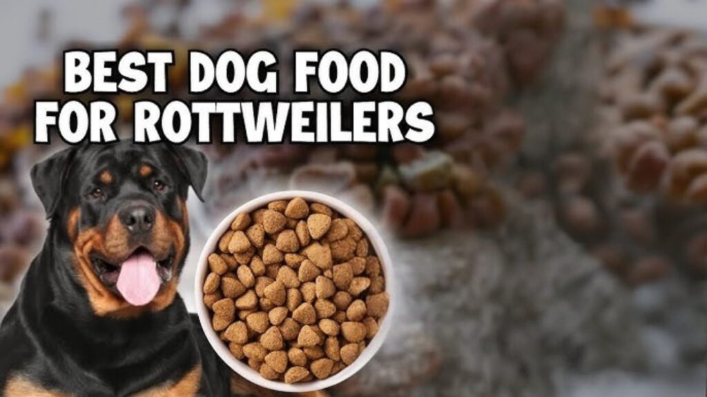 Dog Food for Rottweilers