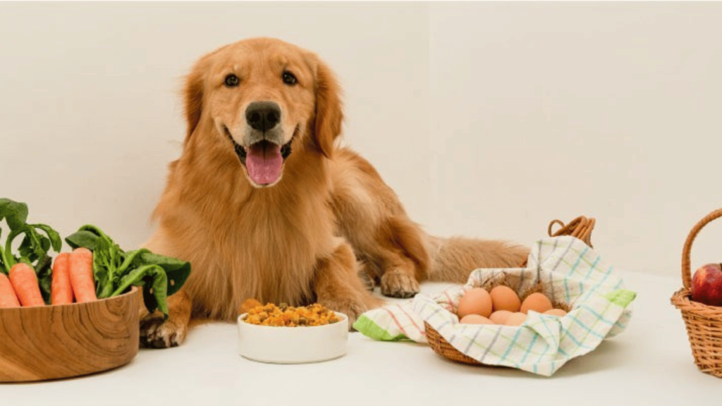 Pet Food Subscription Benefits