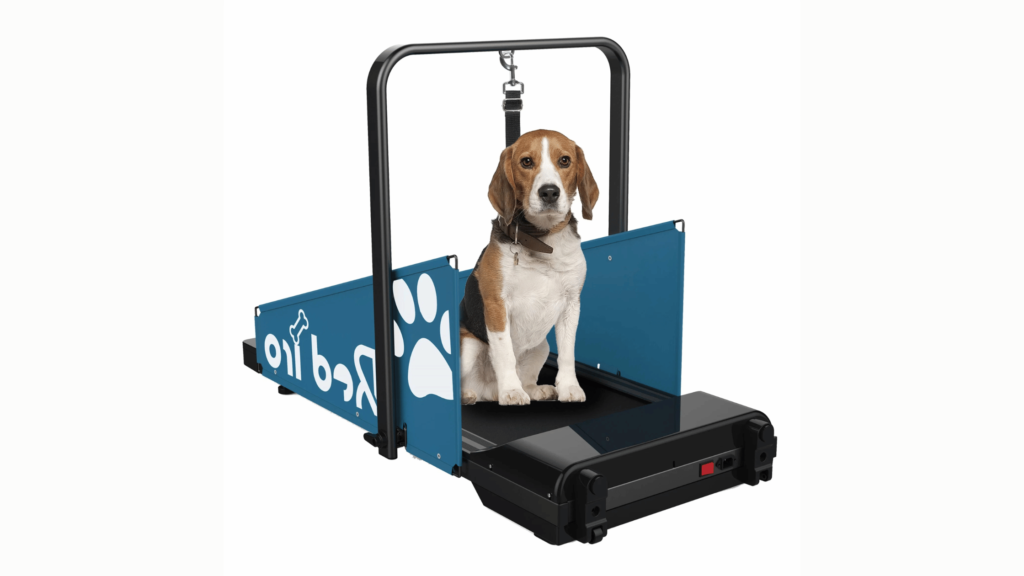 Pet Fitness Products