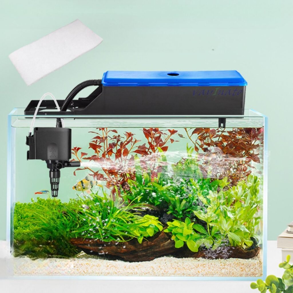 Best Aquarium Accessories