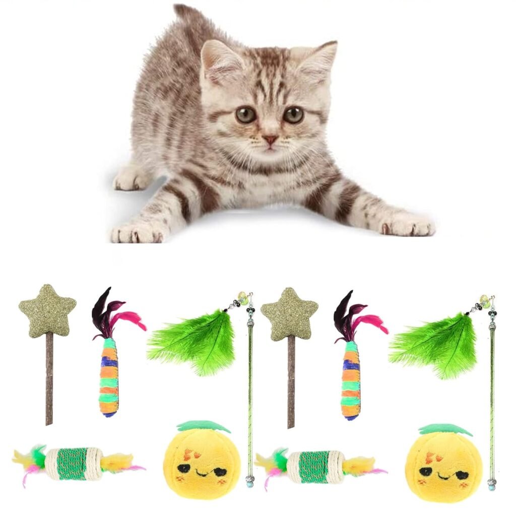 Catnip Toys