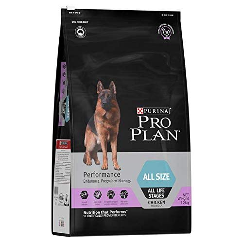 Dog Food for Weight Gain